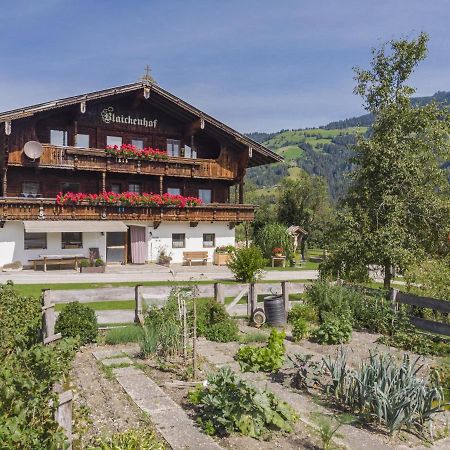 Appartamento Anna Maria Hopfgarten im Brixental Esterno foto